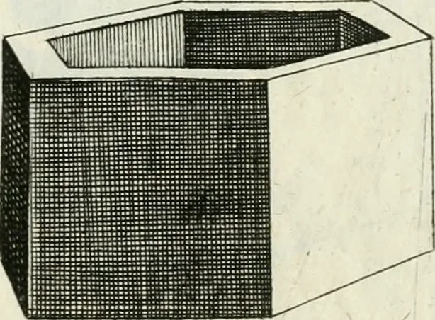 An illustration from La prospettiua pratica, 1684, leaf 36