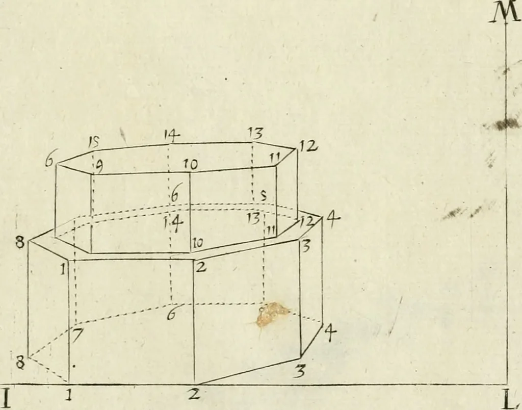 An illustration from La prospettiua pratica, 1684, leaf 38