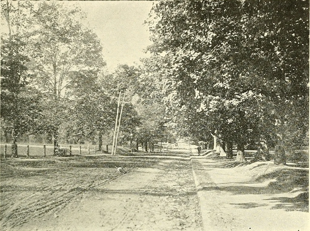 An illustration from Protection of shade trees in cities and towns, 1900, leaf 44