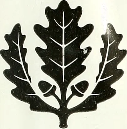 An illustration from Protection of shade trees in cities and towns, 1900, leaf 54