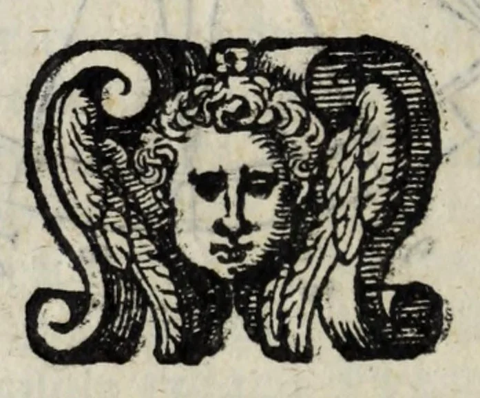 An illustration from Proteo militare di Bartolomeo Romano. Diuiso in tre libri. Nel primo si descrive la fabrica di detto proteo, & in esso nuovo istrumento, tutti gli altri istrumenti di matematica che imaginar si possano. Nel secondo, e terzo si tratta dell'vso di detto istrumento, nelquale si formano tutte le figure di geometria, e diuersi istrumenti di prospettiua, pittura, scoltura, & architettura. S'insegna ancora l'arte del navigare, e quella del guerreggiare con nuouo, e facilissimo modo, come più distintamente nella tauola si potra redere, 1595, leaf 168
