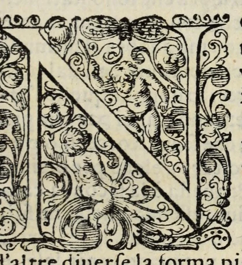 An illustration from Proteo militare di Bartolomeo Romano. Diuiso in tre libri. Nel primo si descrive la fabrica di detto proteo, & in esso nuovo istrumento, tutti gli altri istrumenti di matematica che imaginar si possano. Nel secondo, e terzo si tratta dell'vso di detto istrumento, nelquale si formano tutte le figure di geometria, e diuersi istrumenti di prospettiua, pittura, scoltura, & architettura. S'insegna ancora l'arte del navigare, e quella del guerreggiare con nuouo, e facilissimo modo, come più distintamente nella tauola si potra redere, 1595, leaf 21