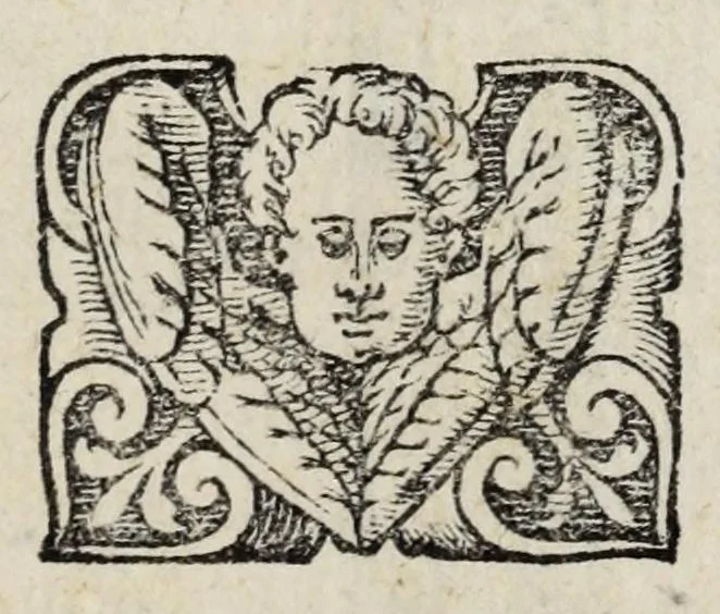 An illustration from Proteo militare di Bartolomeo Romano. Diuiso in tre libri. Nel primo si descrive la fabrica di detto proteo, & in esso nuovo istrumento, tutti gli altri istrumenti di matematica che imaginar si possano. Nel secondo, e terzo si tratta dell'vso di detto istrumento, nelquale si formano tutte le figure di geometria, e diuersi istrumenti di prospettiua, pittura, scoltura, & architettura. S'insegna ancora l'arte del navigare, e quella del guerreggiare con nuouo, e facilissimo modo, come più distintamente nella tauola si potra redere, 1595, leaf 23