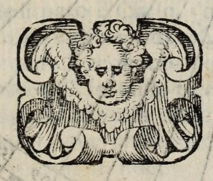 An illustration from Proteo militare di Bartolomeo Romano. Diuiso in tre libri. Nel primo si descrive la fabrica di detto proteo, & in esso nuovo istrumento, tutti gli altri istrumenti di matematica che imaginar si possano. Nel secondo, e terzo si tratta dell'vso di detto istrumento, nelquale si formano tutte le figure di geometria, e diuersi istrumenti di prospettiua, pittura, scoltura, & architettura. S'insegna ancora l'arte del navigare, e quella del guerreggiare con nuouo, e facilissimo modo, come più distintamente nella tauola si potra redere, 1595, leaf 31