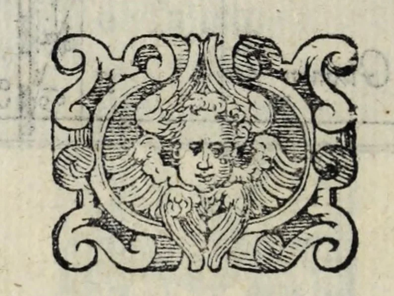 An illustration from Proteo militare di Bartolomeo Romano. Diuiso in tre libri. Nel primo si descrive la fabrica di detto proteo, & in esso nuovo istrumento, tutti gli altri istrumenti di matematica che imaginar si possano. Nel secondo, e terzo si tratta dell'vso di detto istrumento, nelquale si formano tutte le figure di geometria, e diuersi istrumenti di prospettiua, pittura, scoltura, & architettura. S'insegna ancora l'arte del navigare, e quella del guerreggiare con nuouo, e facilissimo modo, come più distintamente nella tauola si potra redere, 1595, leaf 46