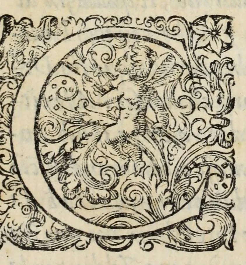 An illustration from Proteo militare di Bartolomeo Romano. Diuiso in tre libri. Nel primo si descrive la fabrica di detto proteo, & in esso nuovo istrumento, tutti gli altri istrumenti di matematica che imaginar si possano. Nel secondo, e terzo si tratta dell'vso di detto istrumento, nelquale si formano tutte le figure di geometria, e diuersi istrumenti di prospettiua, pittura, scoltura, & architettura. S'insegna ancora l'arte del navigare, e quella del guerreggiare con nuouo, e facilissimo modo, come più distintamente nella tauola si potra redere, 1595, leaf 7