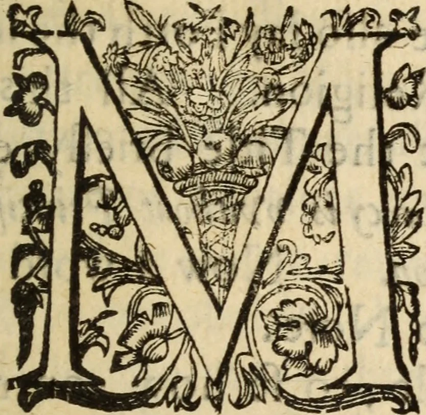 An illustration from Protestancy without principles : or sectaries unhappy fall from infallibility to fancy ; laid forth in four discourses, 1668, leaf 12