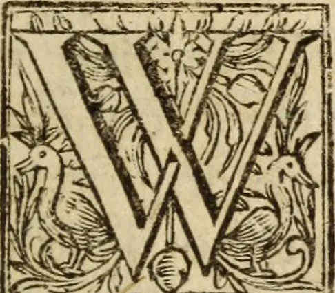 An illustration from Protestancy without principles : or sectaries unhappy fall from infallibility to fancy ; laid forth in four discourses, 1668, leaf 170