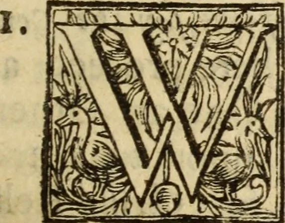 An illustration from Protestancy without principles : or sectaries unhappy fall from infallibility to fancy ; laid forth in four discourses, 1668, leaf 440