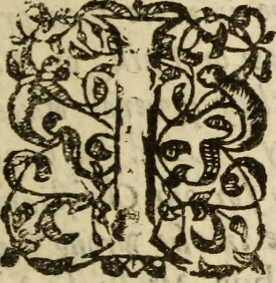An illustration from Protestancy without principles : or sectaries unhappy fall from infallibility to fancy ; laid forth in four discourses, 1668, leaf 576
