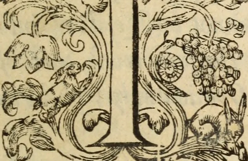 An illustration from Protestancy without principles : or sectaries unhappy fall from infallibility to fancy ; laid forth in four discourses, 1668, leaf 6