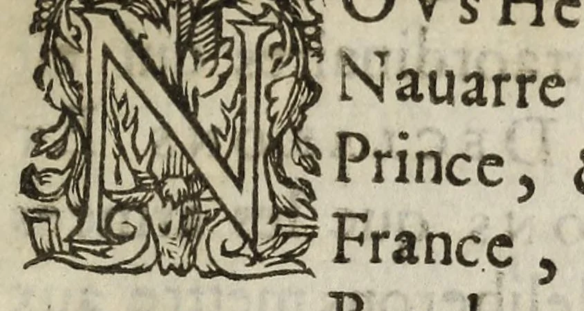 An illustration from Protestation et declaration du Roy de Nauarre sur la venue de son armee en France., 1587, leaf 15