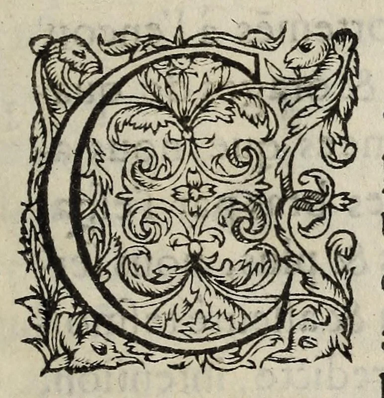 An illustration from Protestation et declaration du Roy de Nauarre sur la venue de son armee en France., 1587, leaf 9