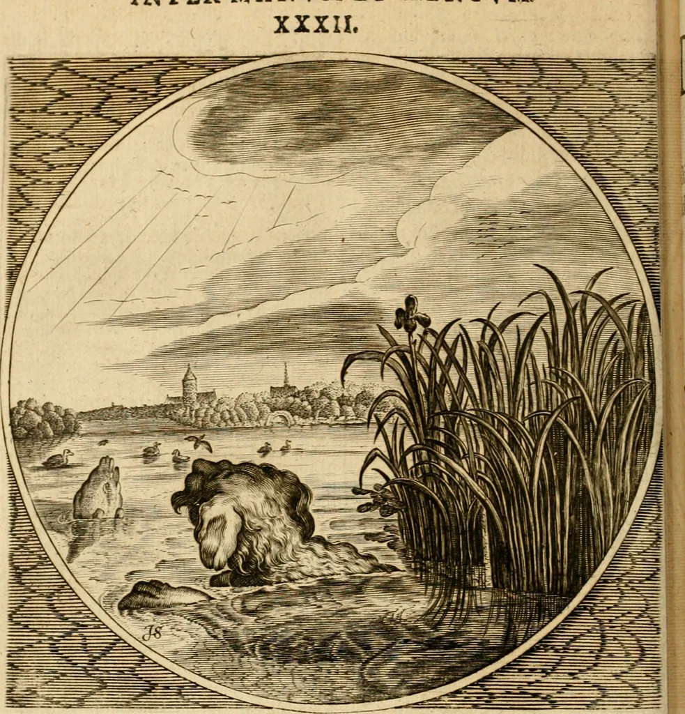 An illustration from Proteus, ofte, Minne-beelden verandert in sinne-beelden, 1627, leaf 237