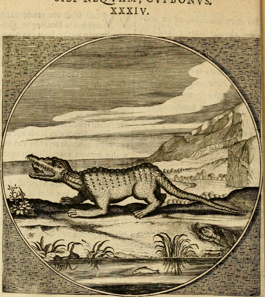 An illustration from Proteus, ofte, Minne-beelden verandert in sinne-beelden, 1627, leaf 249