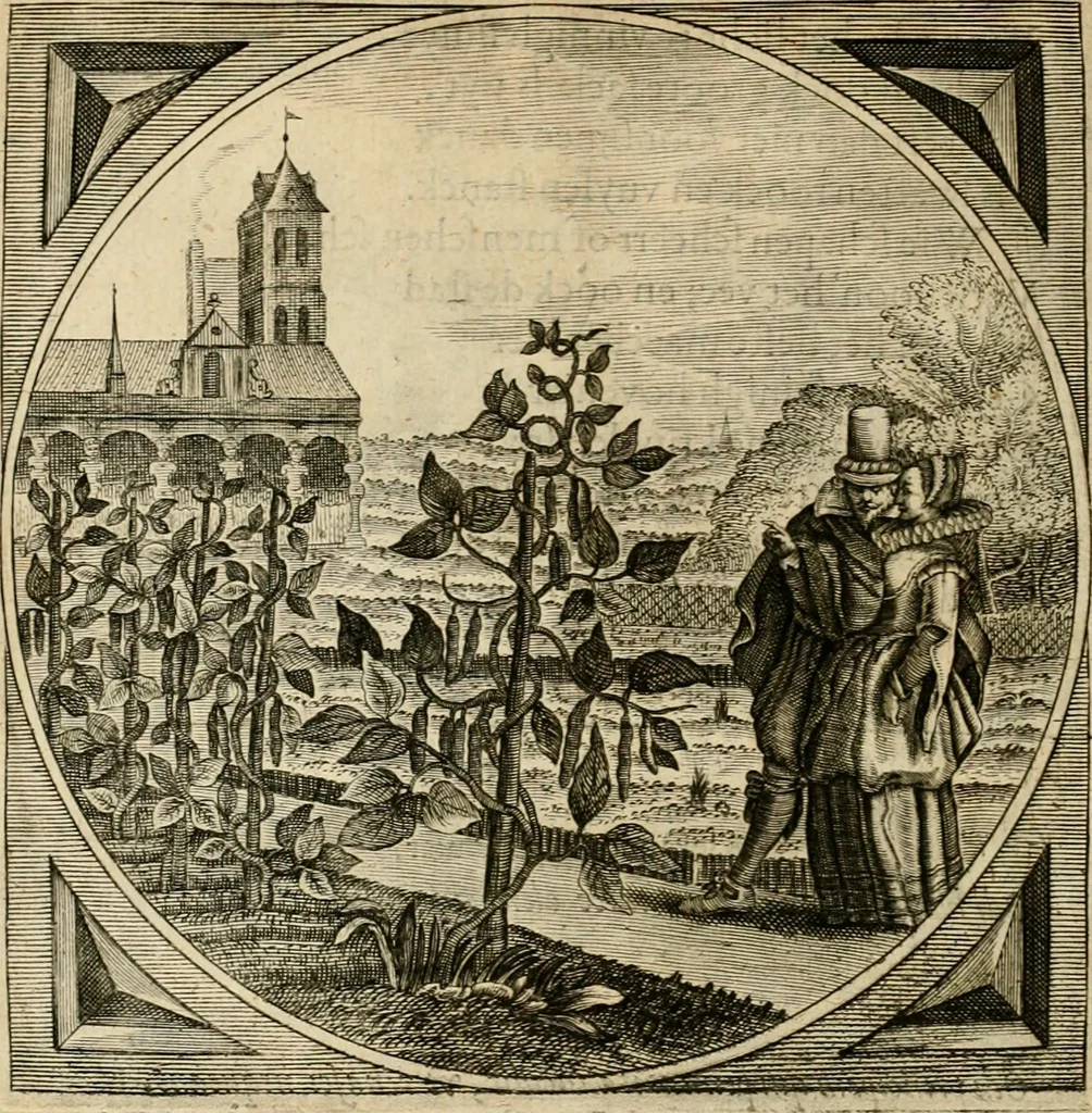 An illustration from Proteus, ofte, Minne-beelden verandert in sinne-beelden, 1627, leaf 435
