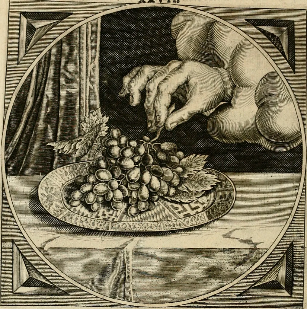 An illustration from Proteus, ofte, Minne-beelden verandert in sinne-beelden, 1627, leaf 447