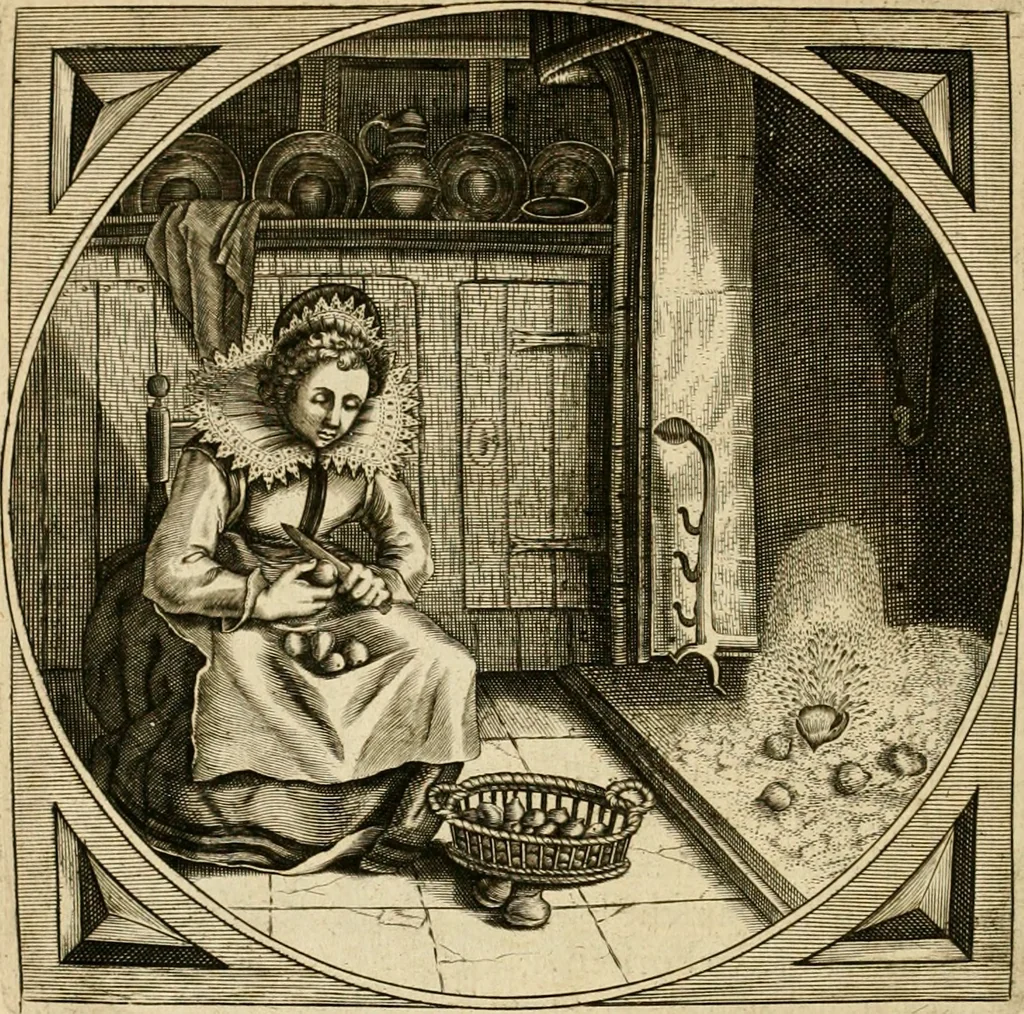 An illustration from Proteus, ofte, Minne-beelden verandert in sinne-beelden, 1627, leaf 463