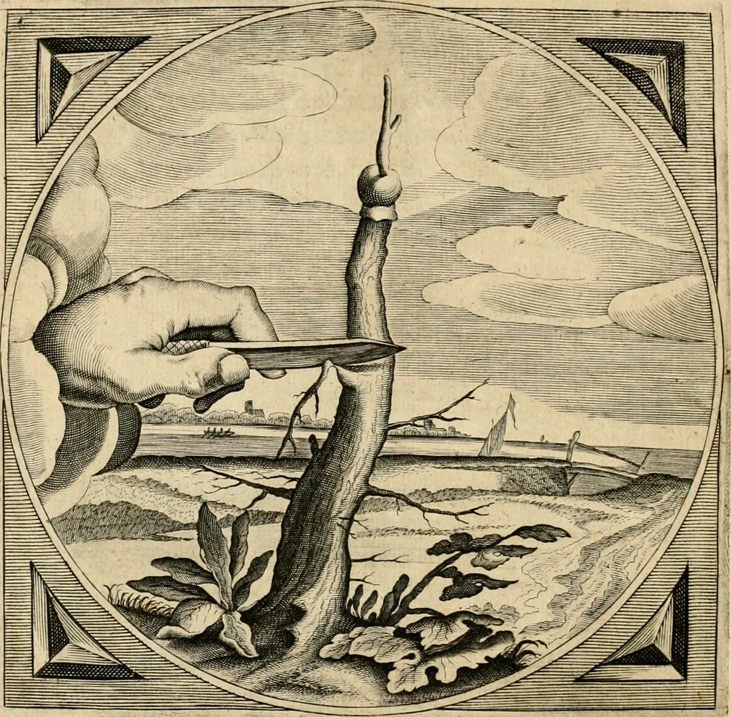 An illustration from Proteus, ofte, Minne-beelden verandert in sinne-beelden, 1627, leaf 485