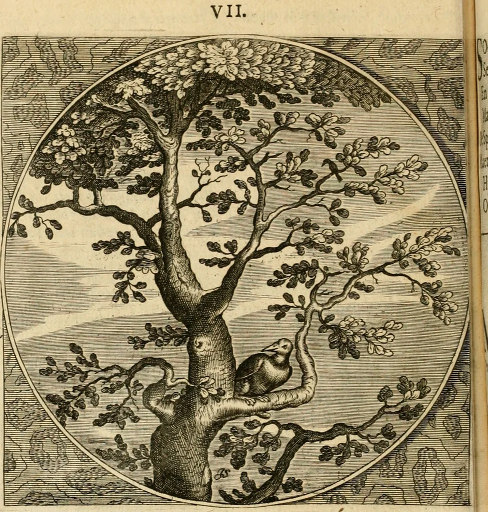 An illustration from Proteus, ofte, Minne-beelden verandert in sinne-beelden, 1627, leaf 87