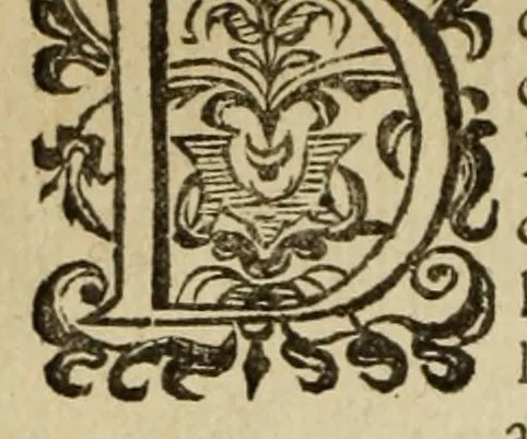 An illustration from Proteus, ofte, Minne-beelden verandert in sinne-beelden, 1627, leaf 14