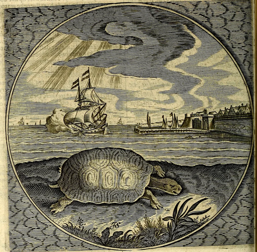 An illustration from Proteus, ofte, Minne-beelden verandert in sinne-beelden, 1627, leaf 135