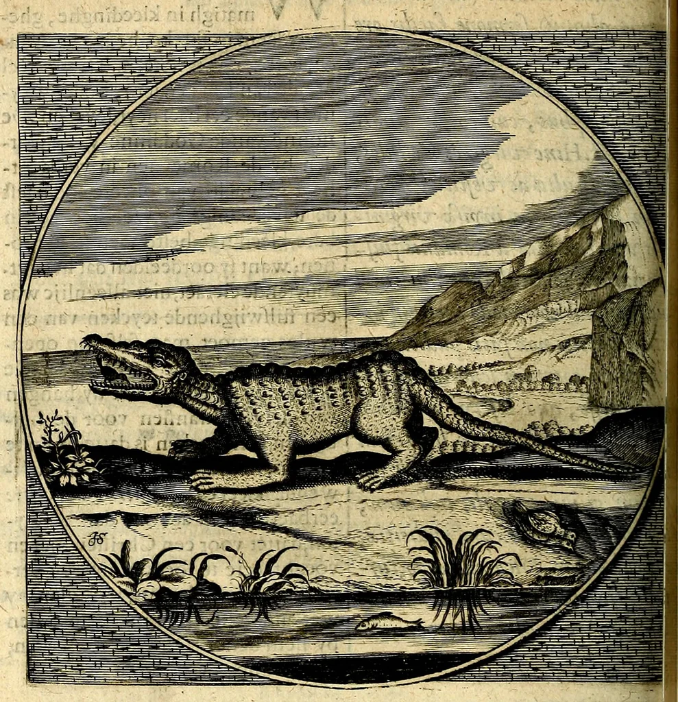An illustration from Proteus, ofte, Minne-beelden verandert in sinne-beelden, 1627, leaf 249