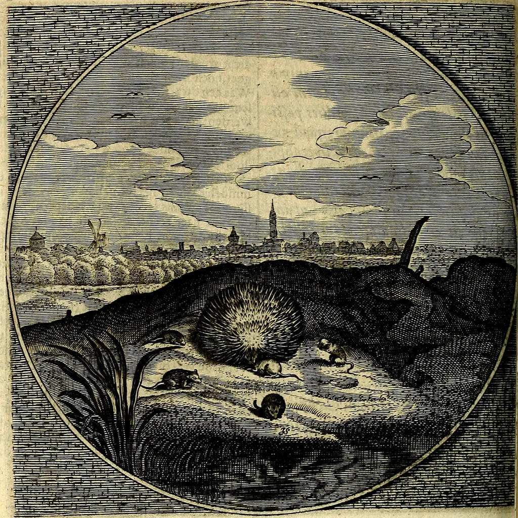 An illustration from Proteus, ofte, Minne-beelden verandert in sinne-beelden, 1627, leaf 255