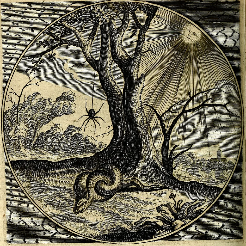 An illustration from Proteus, ofte, Minne-beelden verandert in sinne-beelden, 1627, leaf 267