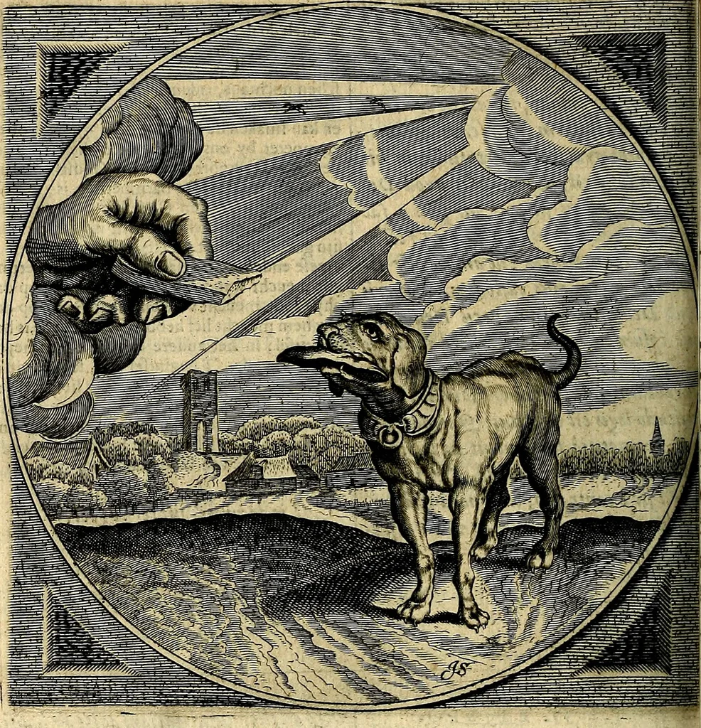 An illustration from Proteus, ofte, Minne-beelden verandert in sinne-beelden, 1627, leaf 279