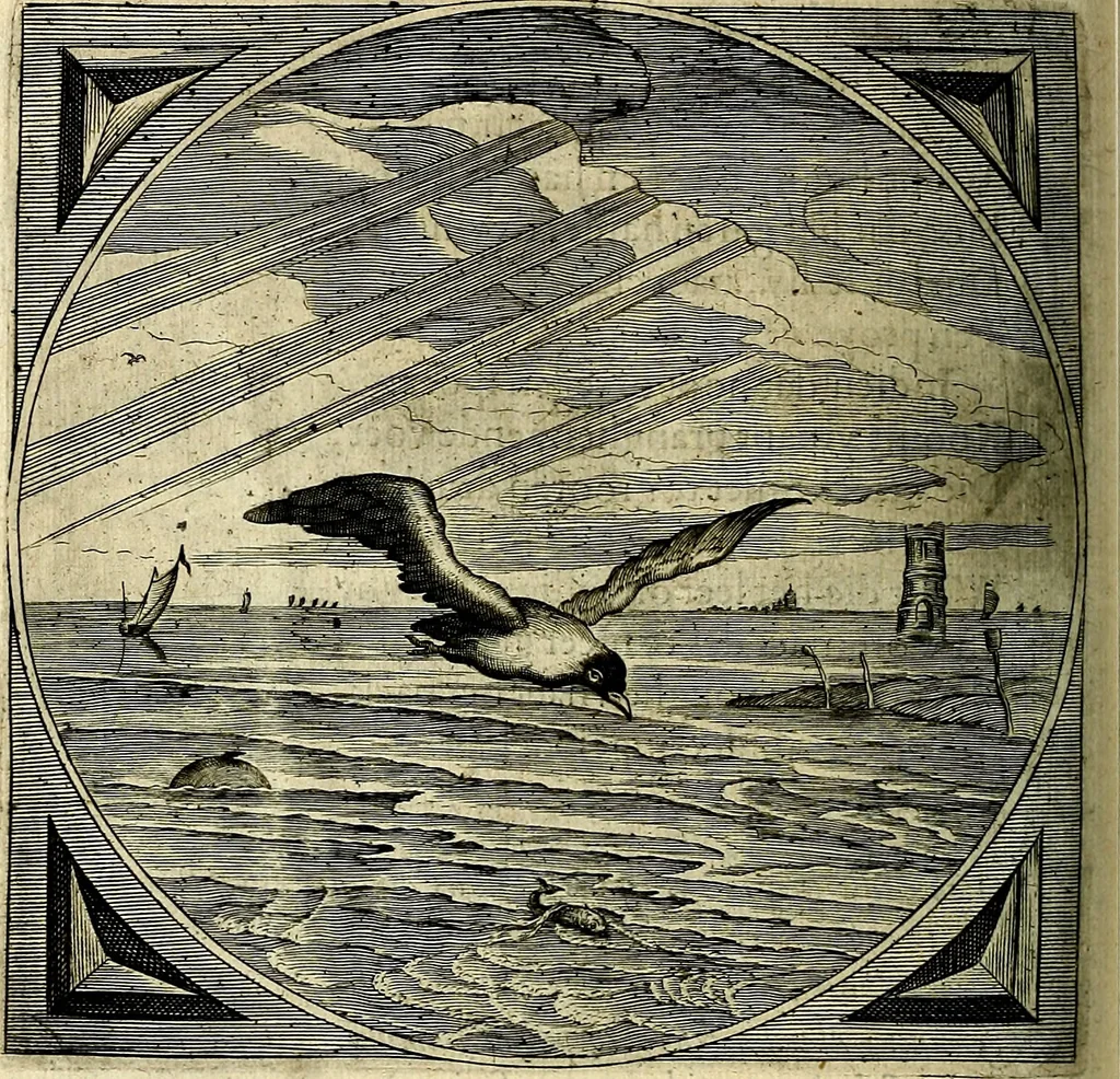 An illustration from Proteus, ofte, Minne-beelden verandert in sinne-beelden, 1627, leaf 413