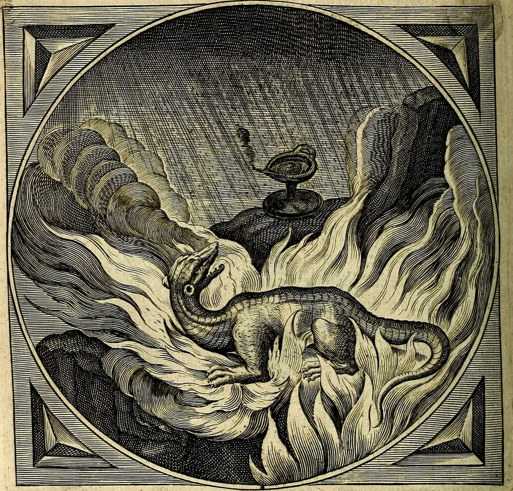 An illustration from Proteus, ofte, Minne-beelden verandert in sinne-beelden, 1627, leaf 425