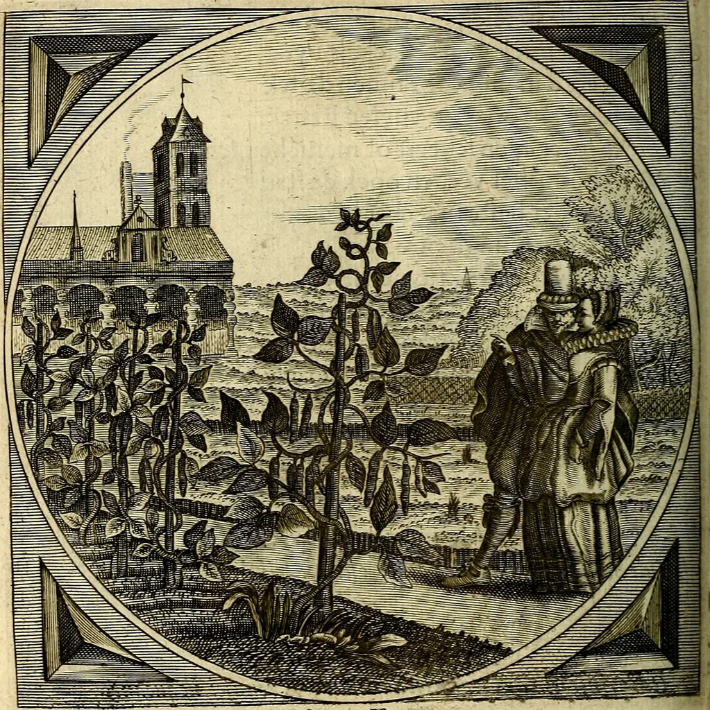 An illustration from Proteus, ofte, Minne-beelden verandert in sinne-beelden, 1627, leaf 435