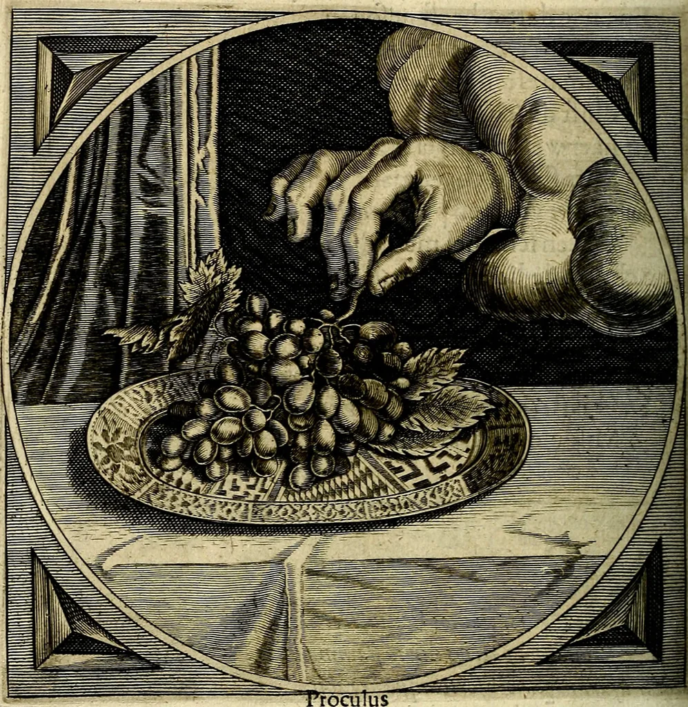 An illustration from Proteus, ofte, Minne-beelden verandert in sinne-beelden, 1627, leaf 447