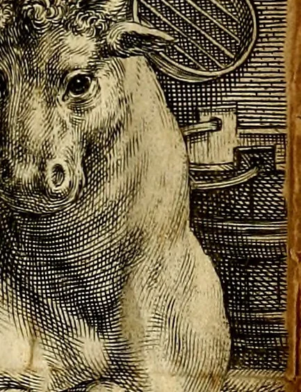 An illustration from Proteus, ofte, Minne-beelden verandert in sinne-beelden, 1627, leaf 538