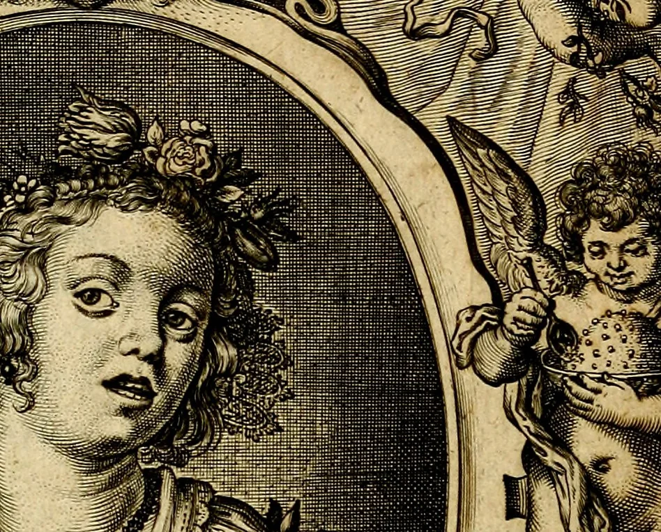 An illustration from Proteus, ofte, Minne-beelden verandert in sinne-beelden, 1627, leaf 592