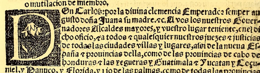 An illustration from Prouisio[n]es cedulas instruciones de su Magestad: : ordena[n]ças d[e] difu[n]tos y audie[n]cia, p[ar]a la buena expedicio[n] de los negocios, y administracio[n] d[e] justicia: y gouernacio[n] d[e]sta Nueua España: y p[ar]a el bue[n] tratamie[n]to y [con]seruacio[n] d[e] los yndios, dende el año 1525. hasta este presente de. 63, 1563, leaf 102