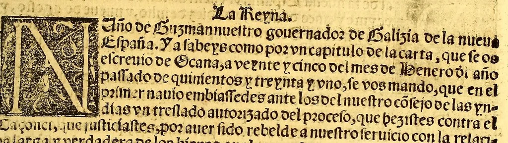 An illustration from Prouisio[n]es cedulas instruciones de su Magestad: : ordena[n]ças d[e] difu[n]tos y audie[n]cia, p[ar]a la buena expedicio[n] de los negocios, y administracio[n] d[e] justicia: y gouernacio[n] d[e]sta Nueua España: y p[ar]a el bue[n] tratamie[n]to y [con]seruacio[n] d[e] los yndios, dende el año 1525. hasta este presente de. 63, 1563, leaf 173