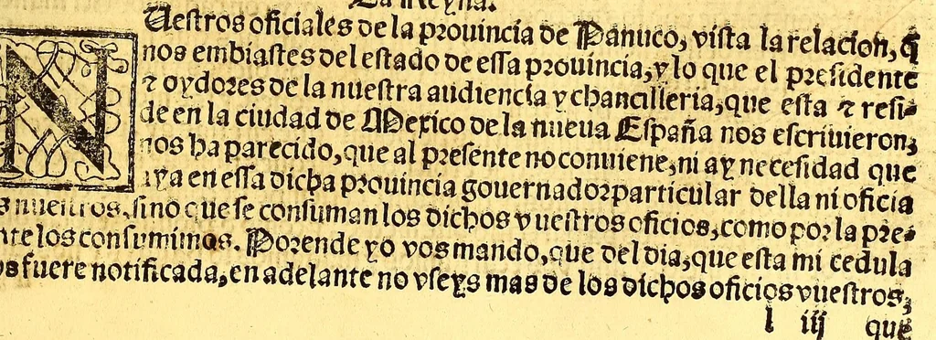 An illustration from Prouisio[n]es cedulas instruciones de su Magestad: : ordena[n]ças d[e] difu[n]tos y audie[n]cia, p[ar]a la buena expedicio[n] de los negocios, y administracio[n] d[e] justicia: y gouernacio[n] d[e]sta Nueua España: y p[ar]a el bue[n] tratamie[n]to y [con]seruacio[n] d[e] los yndios, dende el año 1525. hasta este presente de. 63, 1563, leaf 173