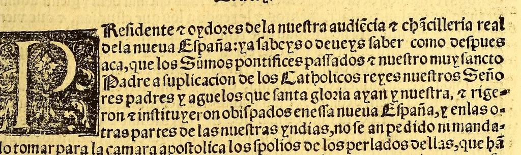 An illustration from Prouisio[n]es cedulas instruciones de su Magestad: : ordena[n]ças d[e] difu[n]tos y audie[n]cia, p[ar]a la buena expedicio[n] de los negocios, y administracio[n] d[e] justicia: y gouernacio[n] d[e]sta Nueua España: y p[ar]a el bue[n] tratamie[n]to y [con]seruacio[n] d[e] los yndios, dende el año 1525. hasta este presente de. 63, 1563, leaf 199