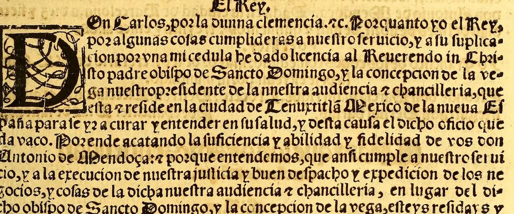 An illustration from Prouisio[n]es cedulas instruciones de su Magestad: : ordena[n]ças d[e] difu[n]tos y audie[n]cia, p[ar]a la buena expedicio[n] de los negocios, y administracio[n] d[e] justicia: y gouernacio[n] d[e]sta Nueua España: y p[ar]a el bue[n] tratamie[n]to y [con]seruacio[n] d[e] los yndios, dende el año 1525. hasta este presente de. 63, 1563, leaf 205