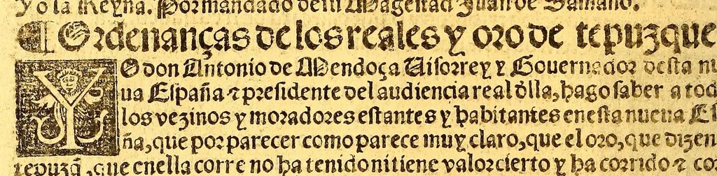 An illustration from Prouisio[n]es cedulas instruciones de su Magestad: : ordena[n]ças d[e] difu[n]tos y audie[n]cia, p[ar]a la buena expedicio[n] de los negocios, y administracio[n] d[e] justicia: y gouernacio[n] d[e]sta Nueua España: y p[ar]a el bue[n] tratamie[n]to y [con]seruacio[n] d[e] los yndios, dende el año 1525. hasta este presente de. 63, 1563, leaf 230