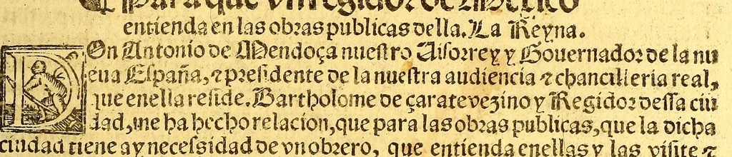 An illustration from Prouisio[n]es cedulas instruciones de su Magestad: : ordena[n]ças d[e] difu[n]tos y audie[n]cia, p[ar]a la buena expedicio[n] de los negocios, y administracio[n] d[e] justicia: y gouernacio[n] d[e]sta Nueua España: y p[ar]a el bue[n] tratamie[n]to y [con]seruacio[n] d[e] los yndios, dende el año 1525. hasta este presente de. 63, 1563, leaf 241