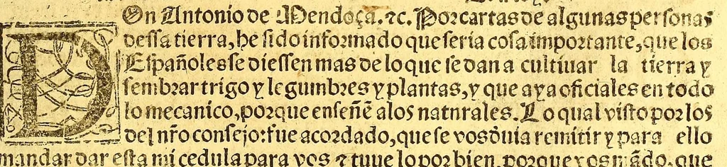 An illustration from Prouisio[n]es cedulas instruciones de su Magestad: : ordena[n]ças d[e] difu[n]tos y audie[n]cia, p[ar]a la buena expedicio[n] de los negocios, y administracio[n] d[e] justicia: y gouernacio[n] d[e]sta Nueua España: y p[ar]a el bue[n] tratamie[n]to y [con]seruacio[n] d[e] los yndios, dende el año 1525. hasta este presente de. 63, 1563, leaf 241