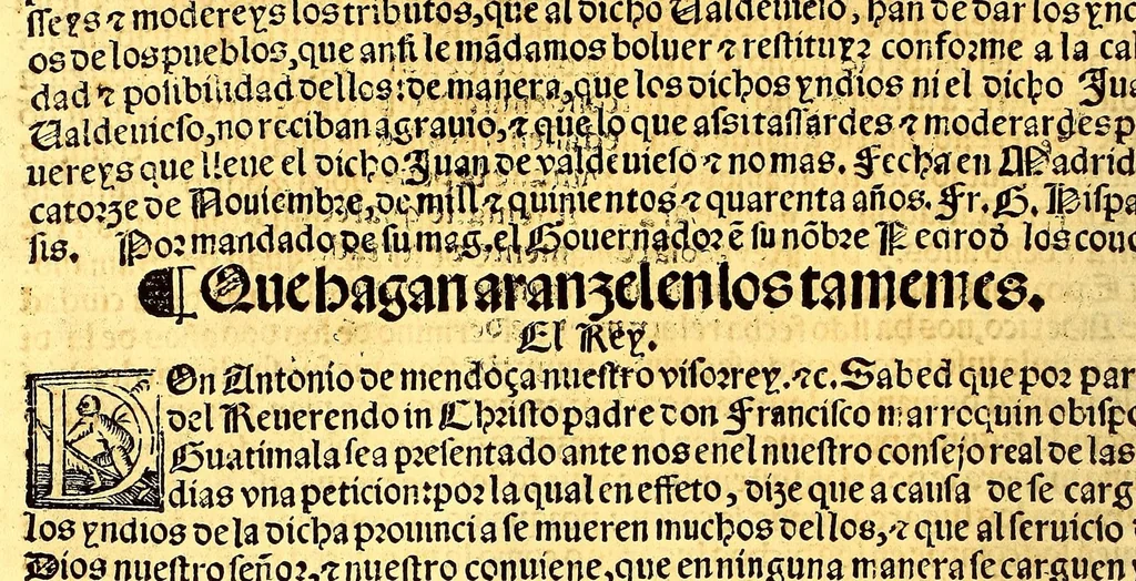 An illustration from Prouisio[n]es cedulas instruciones de su Magestad: : ordena[n]ças d[e] difu[n]tos y audie[n]cia, p[ar]a la buena expedicio[n] de los negocios, y administracio[n] d[e] justicia: y gouernacio[n] d[e]sta Nueua España: y p[ar]a el bue[n] tratamie[n]to y [con]seruacio[n] d[e] los yndios, dende el año 1525. hasta este presente de. 63, 1563, leaf 248