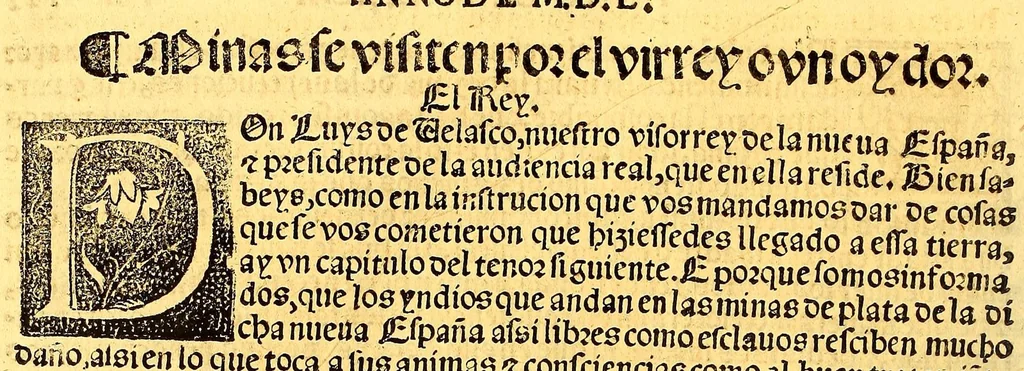 An illustration from Prouisio[n]es cedulas instruciones de su Magestad: : ordena[n]ças d[e] difu[n]tos y audie[n]cia, p[ar]a la buena expedicio[n] de los negocios, y administracio[n] d[e] justicia: y gouernacio[n] d[e]sta Nueua España: y p[ar]a el bue[n] tratamie[n]to y [con]seruacio[n] d[e] los yndios, dende el año 1525. hasta este presente de. 63, 1563, leaf 252