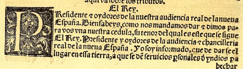 An illustration from Prouisio[n]es cedulas instruciones de su Magestad: : ordena[n]ças d[e] difu[n]tos y audie[n]cia, p[ar]a la buena expedicio[n] de los negocios, y administracio[n] d[e] justicia: y gouernacio[n] d[e]sta Nueua España: y p[ar]a el bue[n] tratamie[n]to y [con]seruacio[n] d[e] los yndios, dende el año 1525. hasta este presente de. 63, 1563, leaf 252