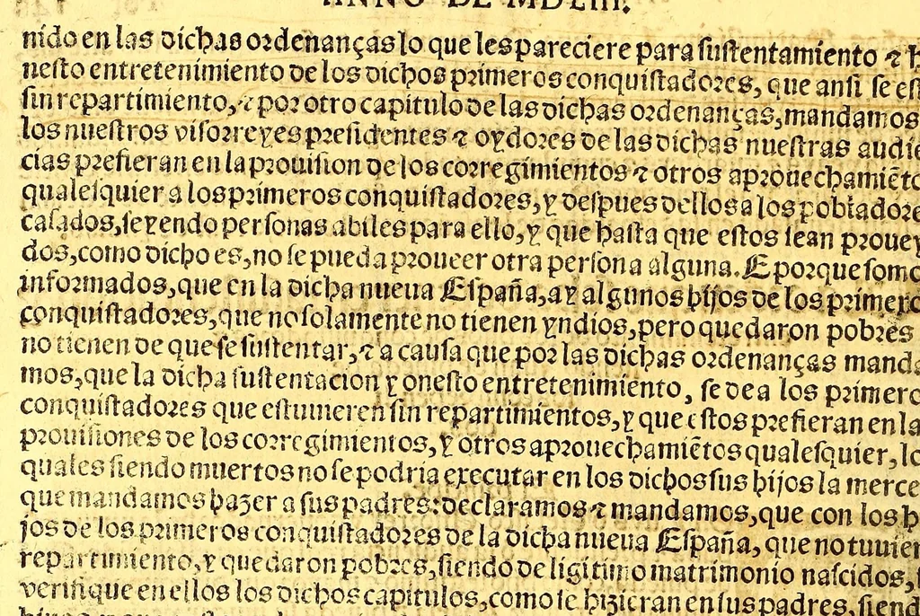 An illustration from Prouisio[n]es cedulas instruciones de su Magestad: : ordena[n]ças d[e] difu[n]tos y audie[n]cia, p[ar]a la buena expedicio[n] de los negocios, y administracio[n] d[e] justicia: y gouernacio[n] d[e]sta Nueua España: y p[ar]a el bue[n] tratamie[n]to y [con]seruacio[n] d[e] los yndios, dende el año 1525. hasta este presente de. 63, 1563, leaf 304