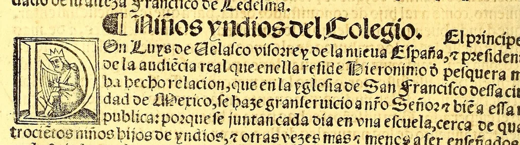 An illustration from Prouisio[n]es cedulas instruciones de su Magestad: : ordena[n]ças d[e] difu[n]tos y audie[n]cia, p[ar]a la buena expedicio[n] de los negocios, y administracio[n] d[e] justicia: y gouernacio[n] d[e]sta Nueua España: y p[ar]a el bue[n] tratamie[n]to y [con]seruacio[n] d[e] los yndios, dende el año 1525. hasta este presente de. 63, 1563, leaf 304