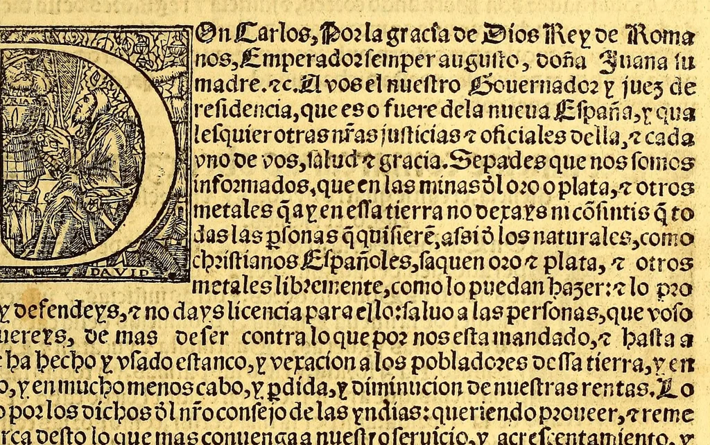 An illustration from Prouisio[n]es cedulas instruciones de su Magestad: : ordena[n]ças d[e] difu[n]tos y audie[n]cia, p[ar]a la buena expedicio[n] de los negocios, y administracio[n] d[e] justicia: y gouernacio[n] d[e]sta Nueua España: y p[ar]a el bue[n] tratamie[n]to y [con]seruacio[n] d[e] los yndios, dende el año 1525. hasta este presente de. 63, 1563, leaf 31